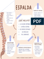 Espalda (Columna Vertebral) PDF