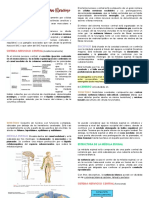 Generalidades Del SN PDF