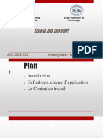 Droit de Travail PDF