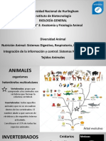 Diapositivas UNIDAD 3 ANIMALES PDF