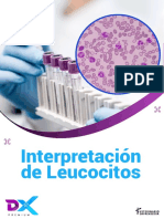 Interpretacion de Leucocitos