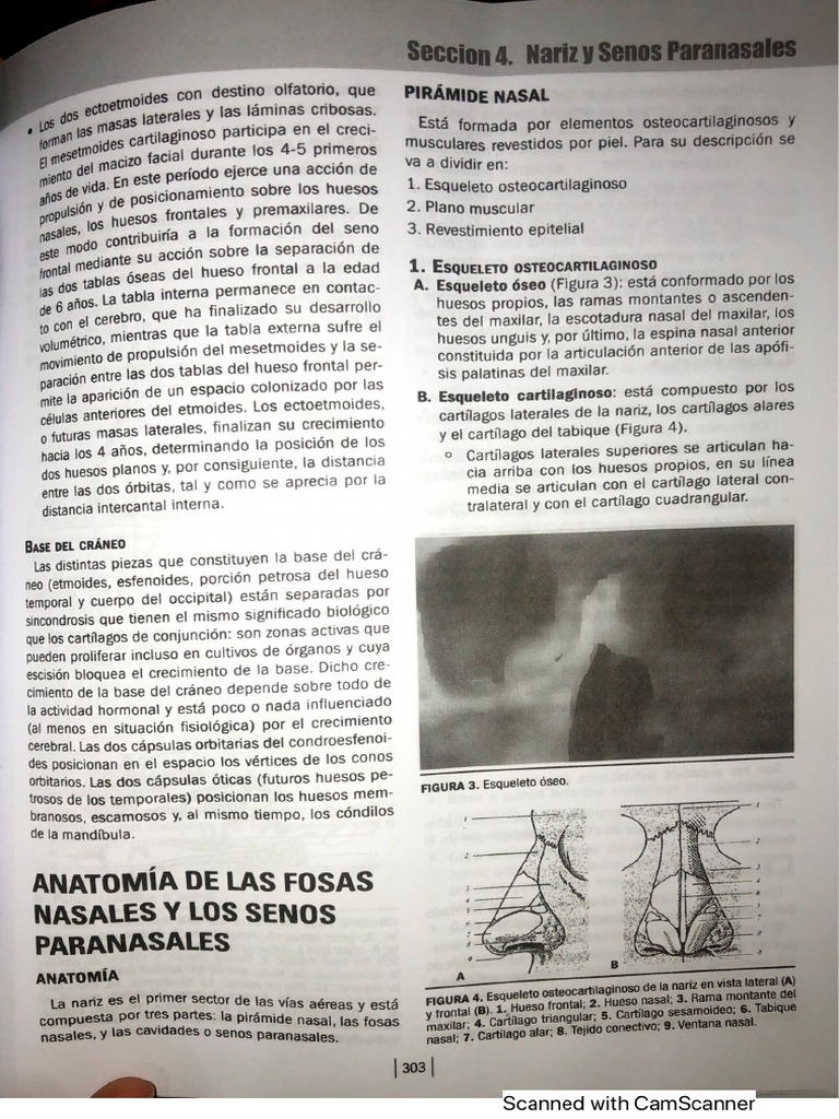 Anatomia Y Fisiologia Pdf Pdf