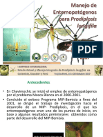 Prodiplosis - Entomopatogenos-FDiaz