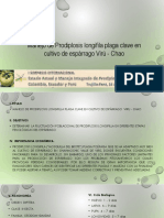 ProdiplosisMIP Viru Chao FAndrade PDF