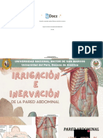 Irrigacion e Inervacion de La Pared Abdominal 231208 Downloable 2026115 PDF