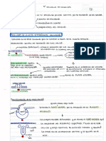 2periodo Fetal - S4 y Resumen.-1 PDF