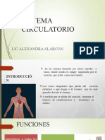 Sistema Circulatorio