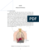 Lapisan Jantung PDF