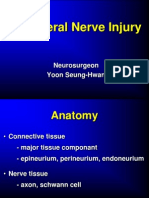 07 - Peripheral Nerve Injury