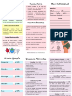 Pauta Embarazada Diabetes Gestacional PDF