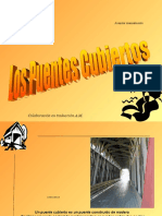 Los Puentes Cubiertos - Pps