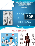 Anatomia Semana 01