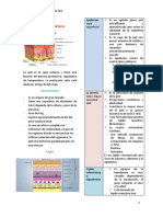 Lesiones elementales de la piel