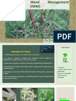 Introducción Al Manejo Integrado de Arvences PDF