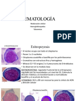 Presentacion Hematologia Internado