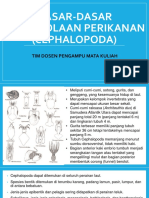 DDPP Cephalopoda 2021 PDF