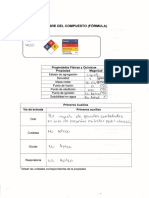 Protocolo 4 PDF