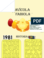 Avícola Fabiola: historia y análisis de la industria avícola