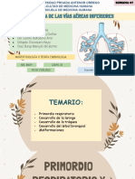 Morfofisiología Ii (Liga 6) Grupo 03 (Semana 06) PDF