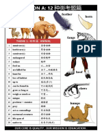 Section A (Theme Vocab List)