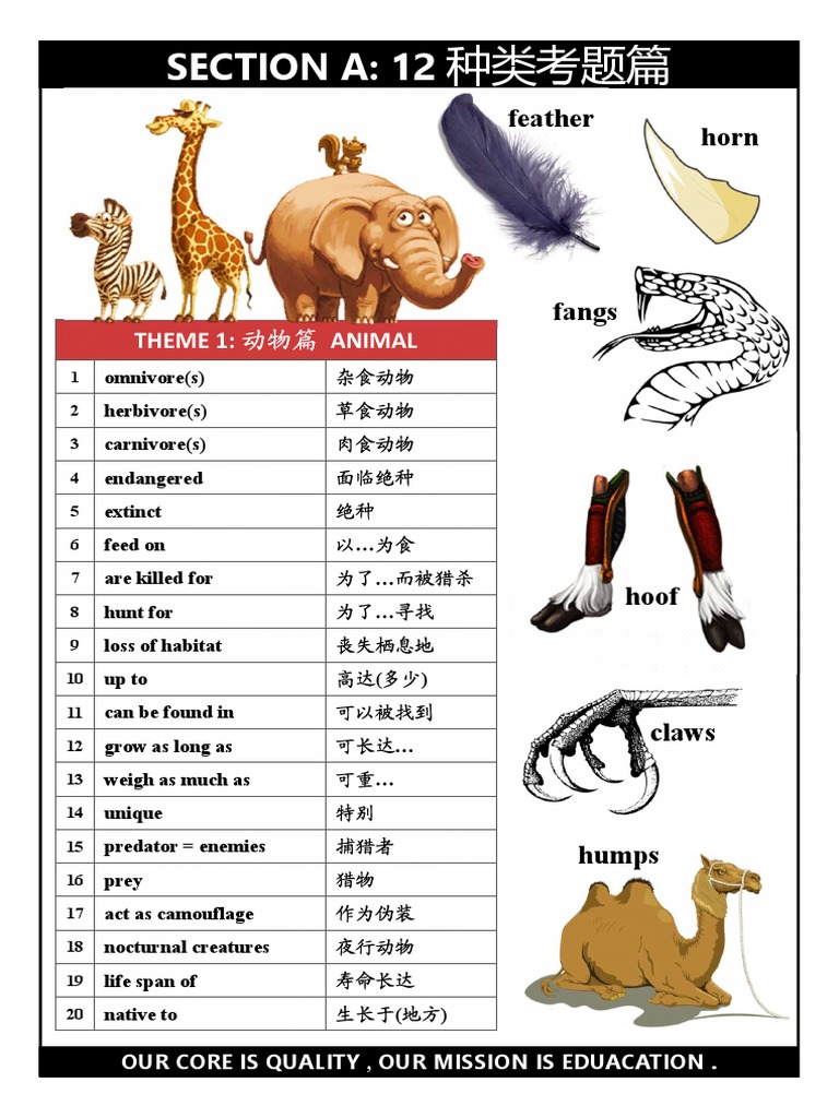 Section A (Theme Vocab List) | PDF