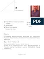 Cópia de Copia de CV PDF