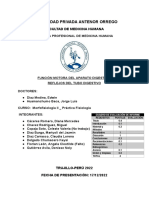 Informe de Fisiologia - Semana 13 - Grupo 1 PDF