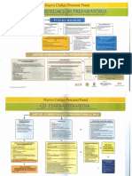 Nuevo Código Procesal Penal PDF