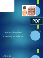 Derma Lesiones Primarias y Secundarias de La Piel