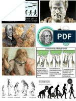 Teorias de La Evolucion PDF