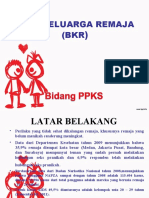 BKR-Meningkatkan-Peran-Keluarga