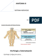Médula Espinal PDF
