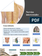 Nervios Intercostales