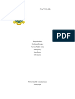 Practica (Iis) PDF