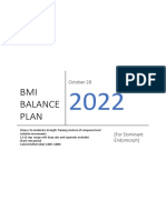 Bmi Balancer 2022