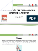 NIA 620 Utilizacion Del Trabajo de Un Experto Del Auditor PDF