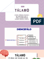 Talamo 