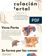 Circulación Portal