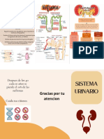 Función Renal PDF