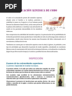 Anatomía y Exploración del Codo | PDF | Codo | Articulación