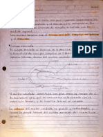 CUERPO ESTRIADO Equipo 3 PDF