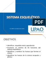 Esqueletico PDF