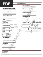 Birds and Insects PDF