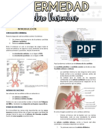 1.1 Enfermedad Cerebro Vascular PDF