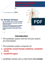 Lymphatic System-3 PDF