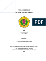 PDF Referat Hydropneumothorax Penasti Khairunnisa H1a014064 Compress