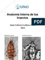 Anatomia Interna de Los Insectos PDF