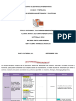 Actividad 2. Trastorno Hemodinámicos PDF