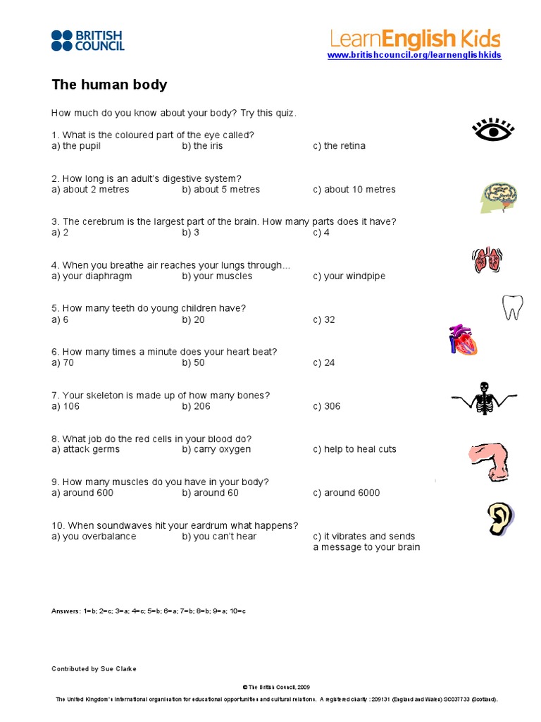 Body Quiz Activity 0 | PDF