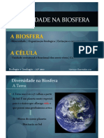 1 Diversidade Na Biosfera PDF